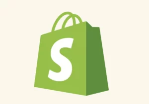 Shopify Seller Requirements for Quick Success
