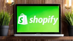 How To Start a Shopify Business With No Money